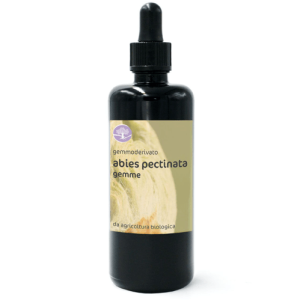 Gemmoderivato ABIES PECTINATA BIO – ABETE BIANCO
