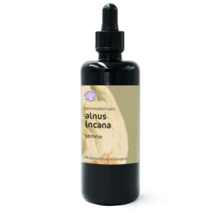 Gemmoderivato ALNUS INCANA BIO – ONTANO BIANCO