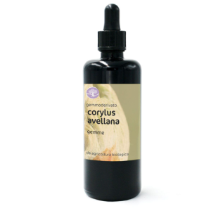 Gemmoderivato CORYLUS AVELLANA BIO – NOCCIOLO