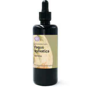 Gemmoderivato FAGUS SYLVATICA BIO – FAGGIO