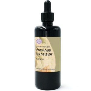 Gemmoderivato FRAXINUS EXCELSIOR BIO – FRASSINO