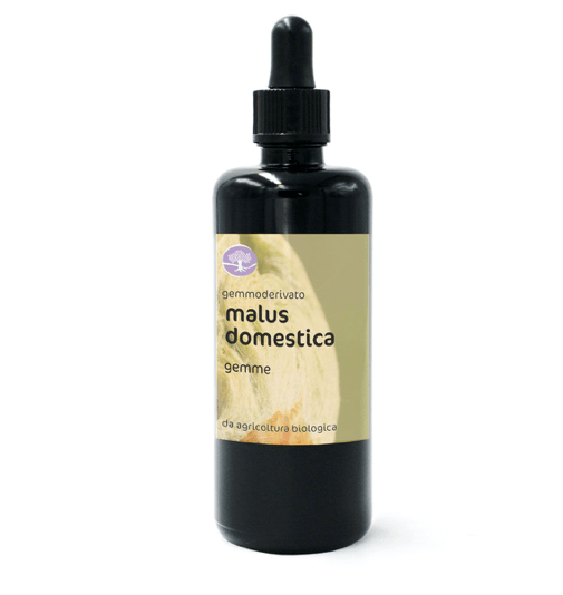 Gemmoderivato MALUS DOMESTICA BIO – MELO