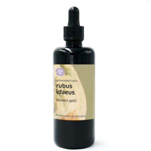 Gemmoderivato RUBUS IDAEUS BIO – LAMPONE