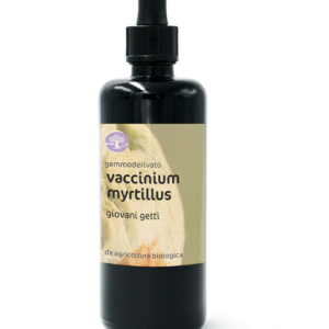 Gemmoderivato VACCINIUM MYRTILLUS BIO – MIRTILLO NERO