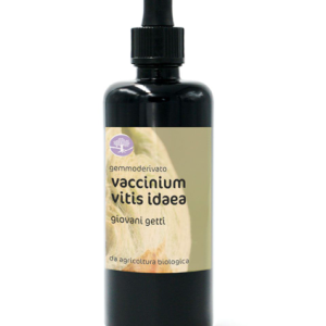 Gemmoderivato VACCINIUM VITIS IDAEA BIO – MIRTILLO ROSSO