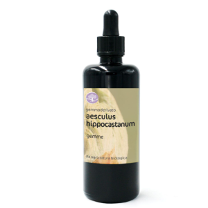 Gemmoderivato AESCULUS HIPPOCASTANUM BIO – IPPOCASTANO