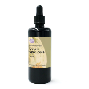 Gemmoderivato BETULA VERRUCOSA BIO –  BETULLA BIANCA