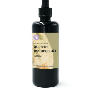 Gemmoderivato QUERCUS PEDUNCULATA BIO –  QUERCIA (gemme)