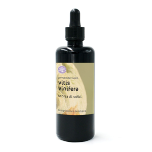 Gemmoderivato VITIS VINIFERA BIO –  VITE (scorza di radici)