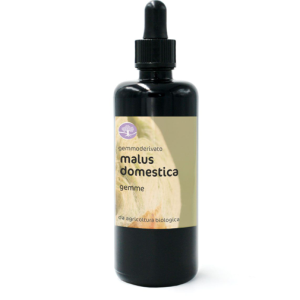 BIO gemmoekstrakt/gemoderivat MALUS DOMESTICA – JABLANA