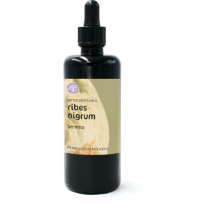 BIO gemmoekstrakt/gemoderivat RIBES NIGRUM – ČRNI RIBEZ
