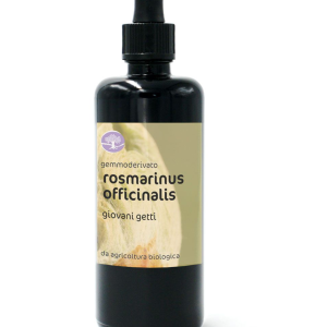 BIO gemmoekstrakt/gemoderivat ROSMARINUS OFFICINALIS – ROŽMARIN