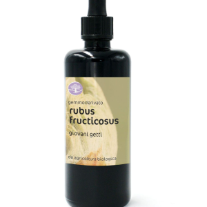 BIO gemmoekstrakt/gemoderivat RUBUS FRUCTICOSUS – NAVADNA ROBIDA