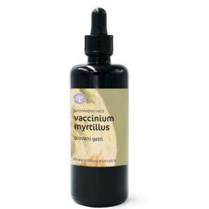 BIO gemmoekstrakt/gemoderivat VACCINIUM MYRTILLUS – BOROVNICA