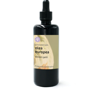 BIO gemmoekstrakt/gemoderivat OLEA EUROPAEA – OLJKA